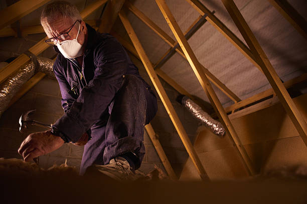 Best Commercial Insulation in Holiday, FL